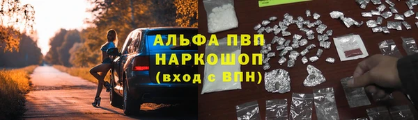 сатива Покачи