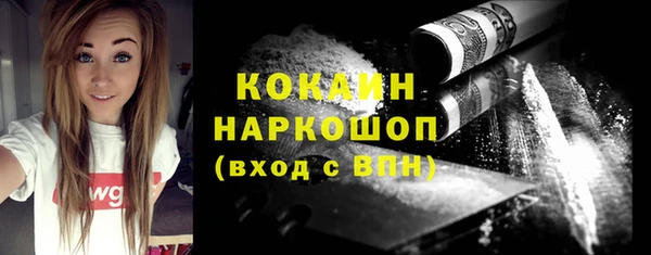 сатива Покачи