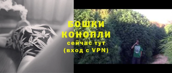 сатива Покачи
