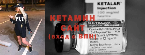 сатива Покачи
