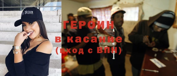 сатива Покачи