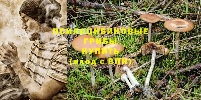 Псилоцибиновые грибы Psilocybine cubensis  дарнет шоп  Удомля 