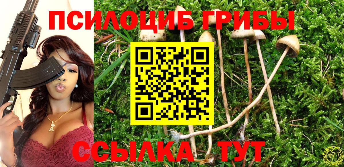 Галлюциногенные грибы Psilocybine cubensis  где найти наркотики  Удомля  Вход с VPN  Галлюциногенные грибы MAGIC MUSHROOMS 