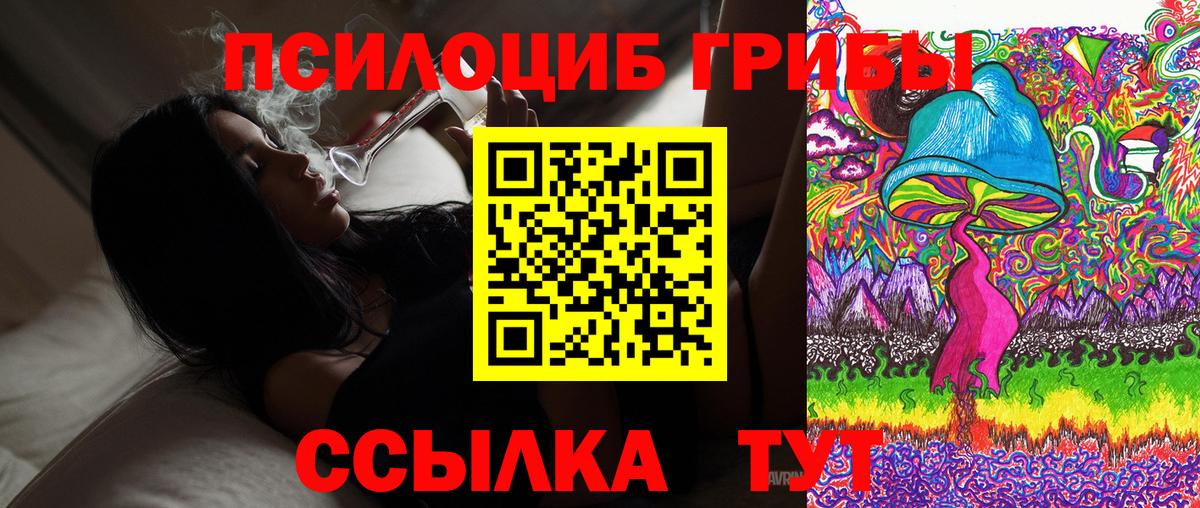 Псилоцибиновые грибы мицелий Удомля