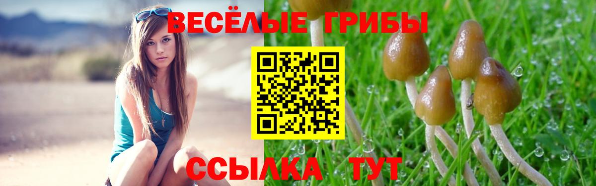 Галлюциногенные грибы мухоморы  Удомля  купить закладку  Галлюциногенные грибы Psilocybine cubensis 